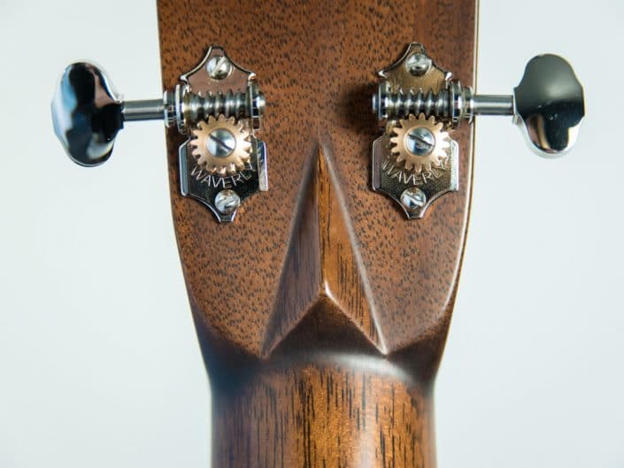 woodformusic Madagascar neo sculpted médiator guitare
