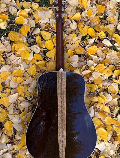 D-BA Custom Sapwood Brazilian